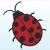 Embroidery Ladybug